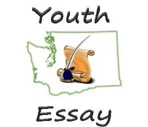 national vfw essay